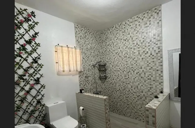Apartment Merengue House Bathroom